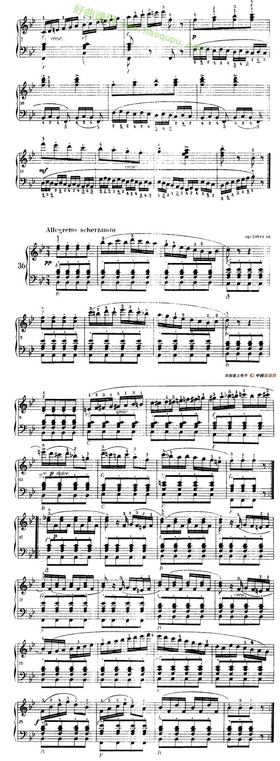 《车尔尼手风琴练习曲集》（22—36）手风琴曲谱第5张