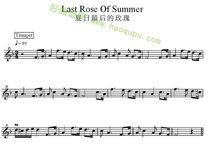 《夏日最后的玫瑰》 - 电子琴简谱_电子琴曲谱